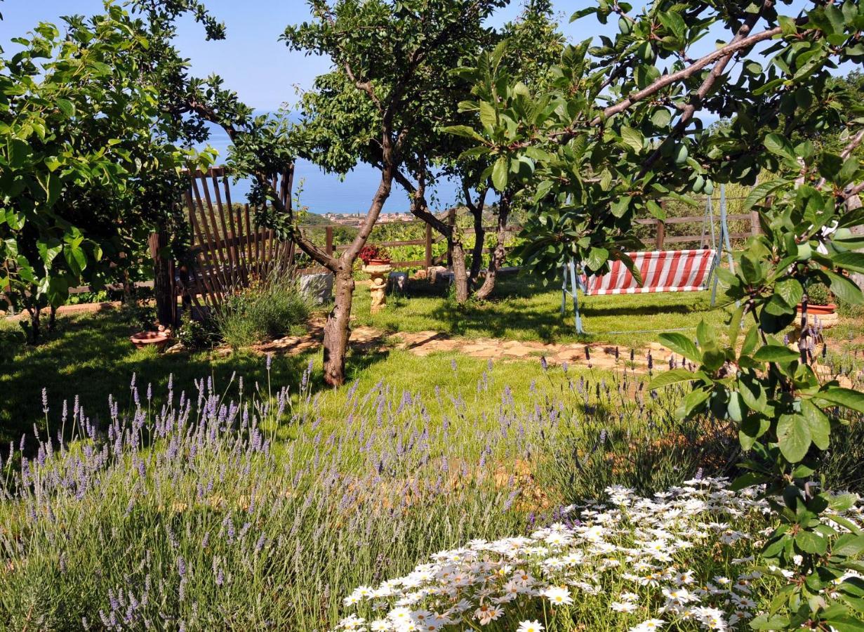 B&B La Sirenetta Diamante Zewnętrze zdjęcie