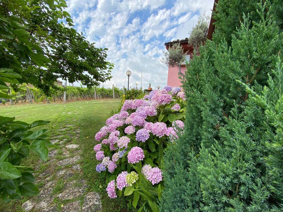 B&B La Sirenetta Diamante Zewnętrze zdjęcie